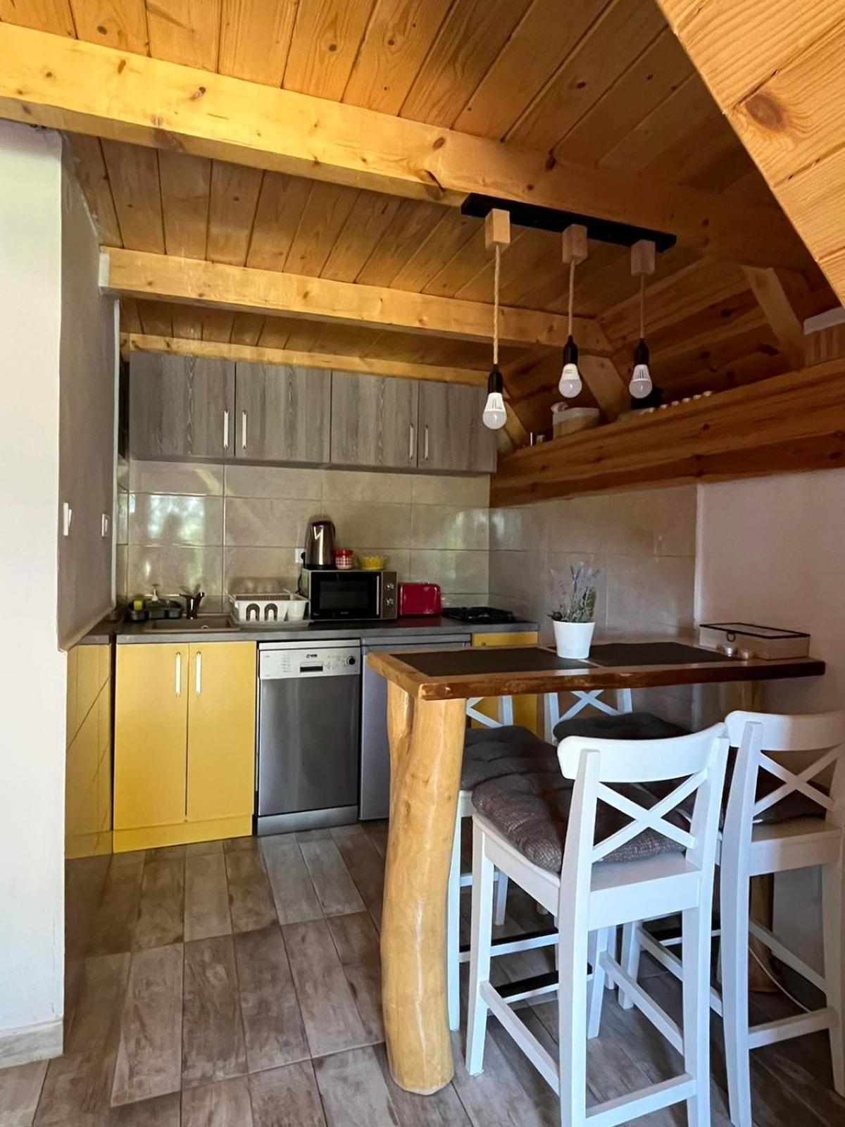 자블야크 Nikitovic House 빌라 외부 사진